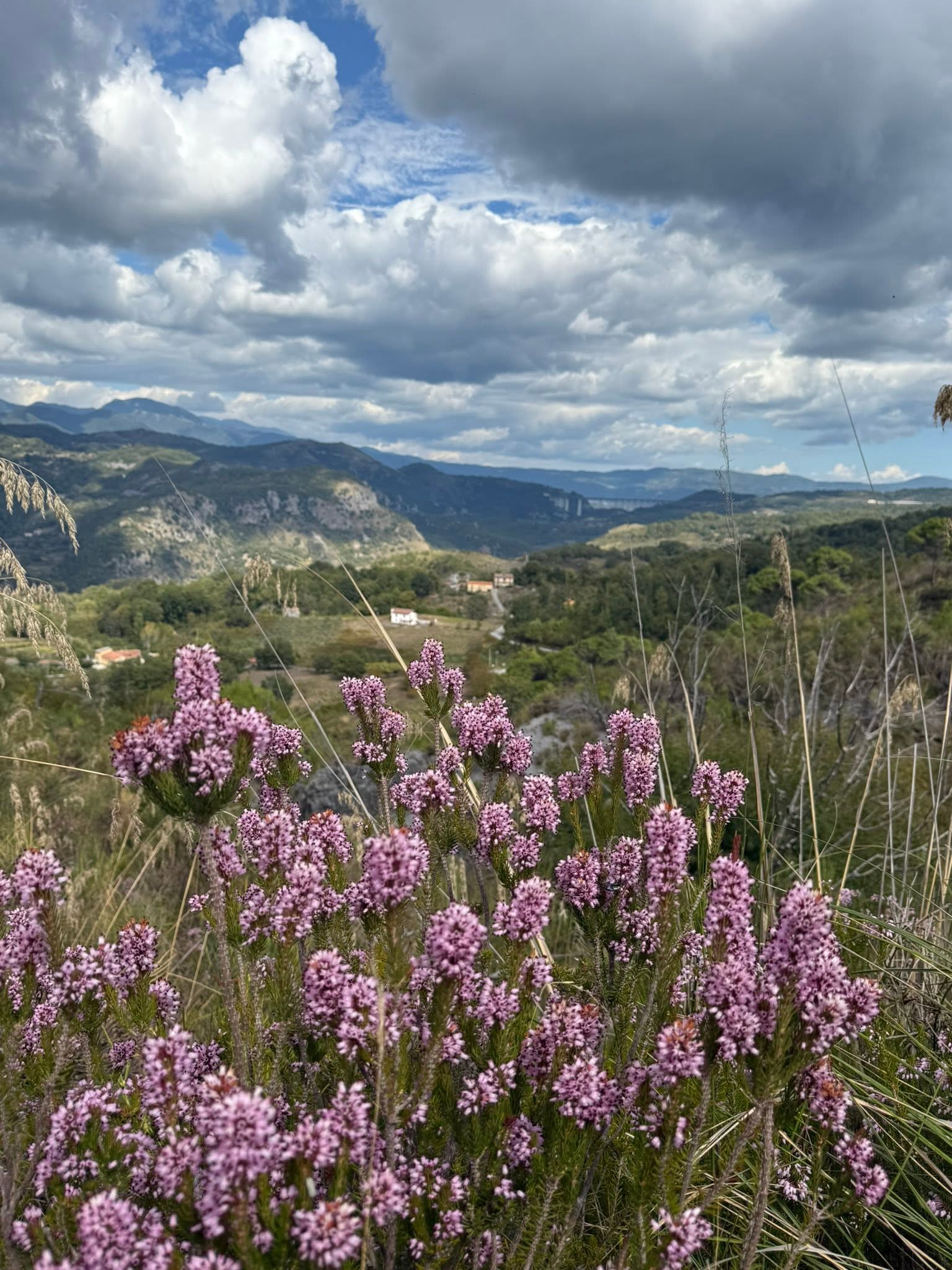 Berglandschaft auf der Fahrt von Kalabrien Richtung Campania