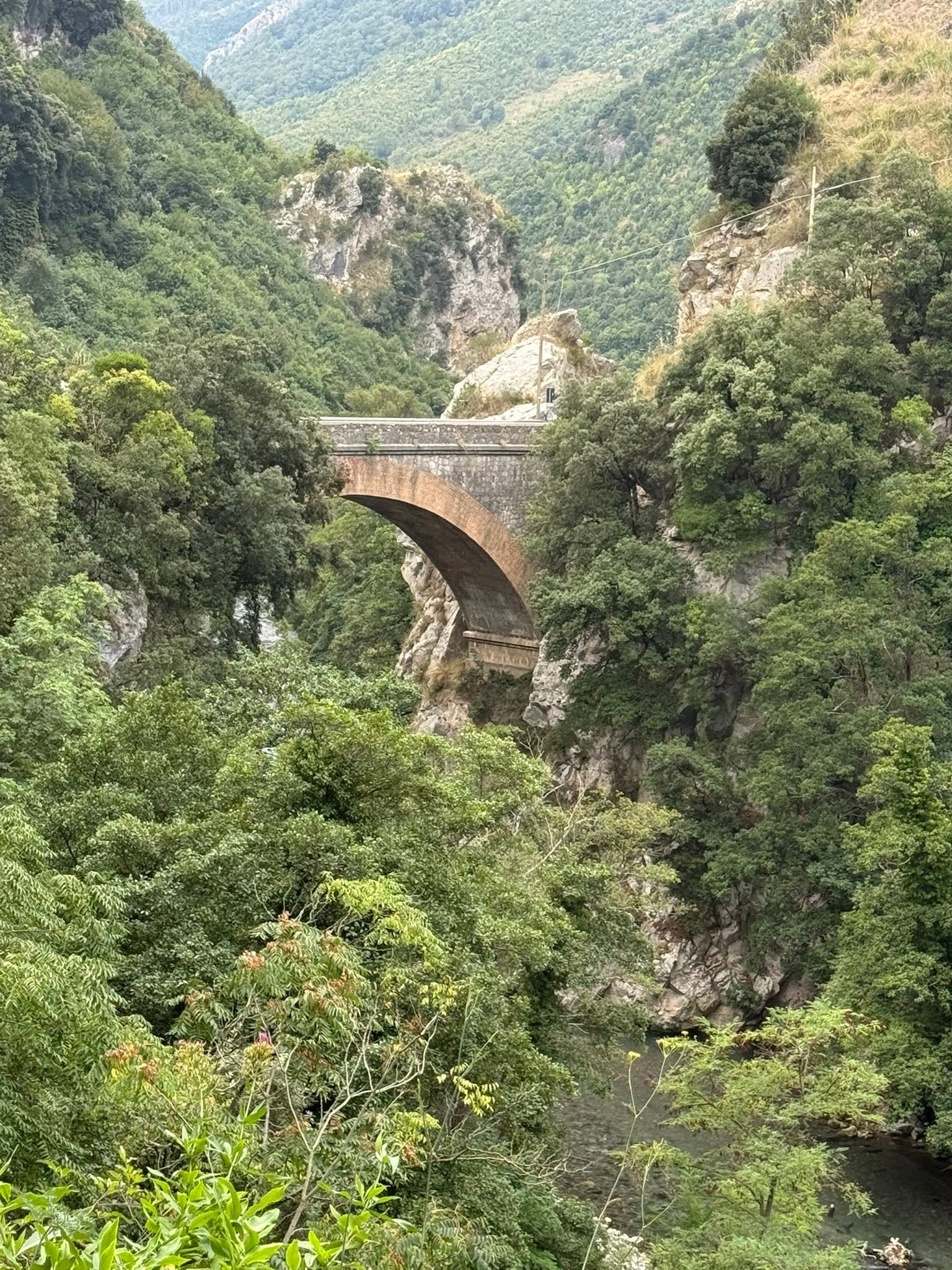 Historische Steinbrücke in einer bewaldeten Schlucht
